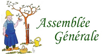 Assemblée générale