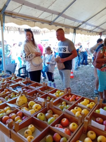 Fête du Vincuit de Courtes