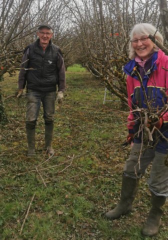 Taille à Curciat-Dongalon