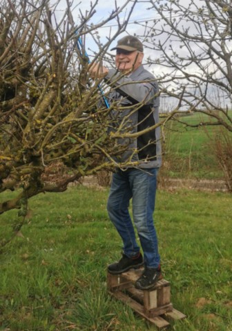 Taille à Curciat-Dongalon