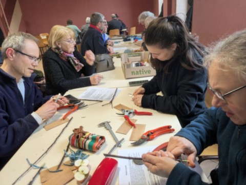 Initiation à la greffe