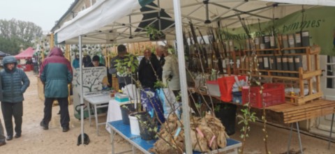 Bourse aux greffons Pierre-de-Bresse