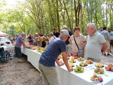 Fête biodiversité Pierre-de-Bresse